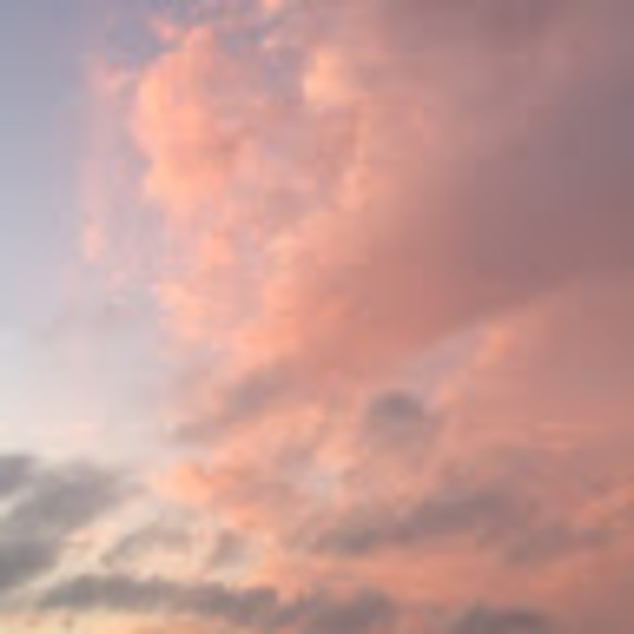 Meet your Posher, Julia - Picture 1 of 1